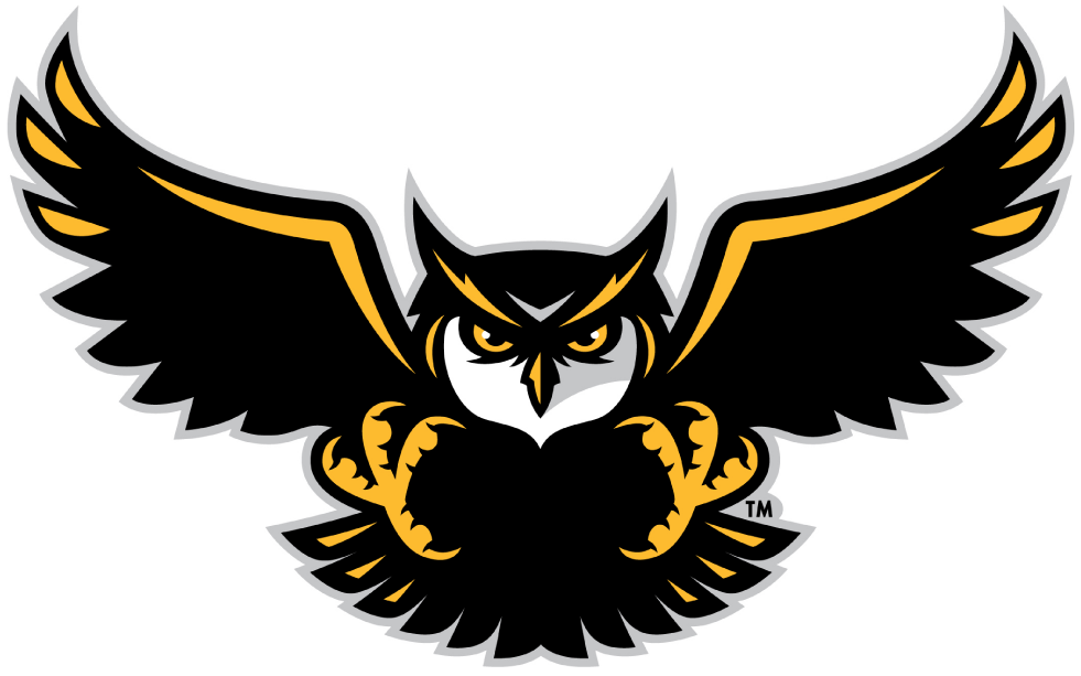 Kennesaw State Owls 2012-Pres Alternate Logo v4 diy iron on heat transfer